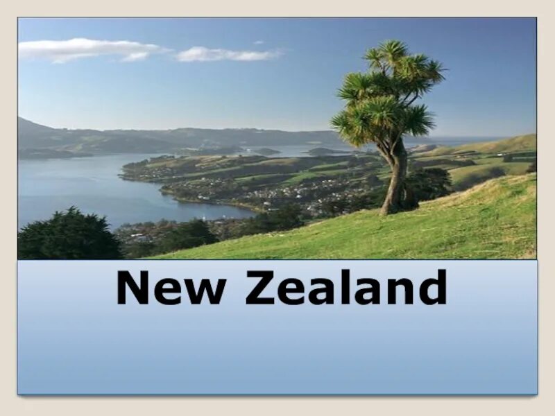 Новая зеландия 7 класс. Зеландия слово. Новая Зеландия сообщение 7 класс. Слово Зеландия черный.