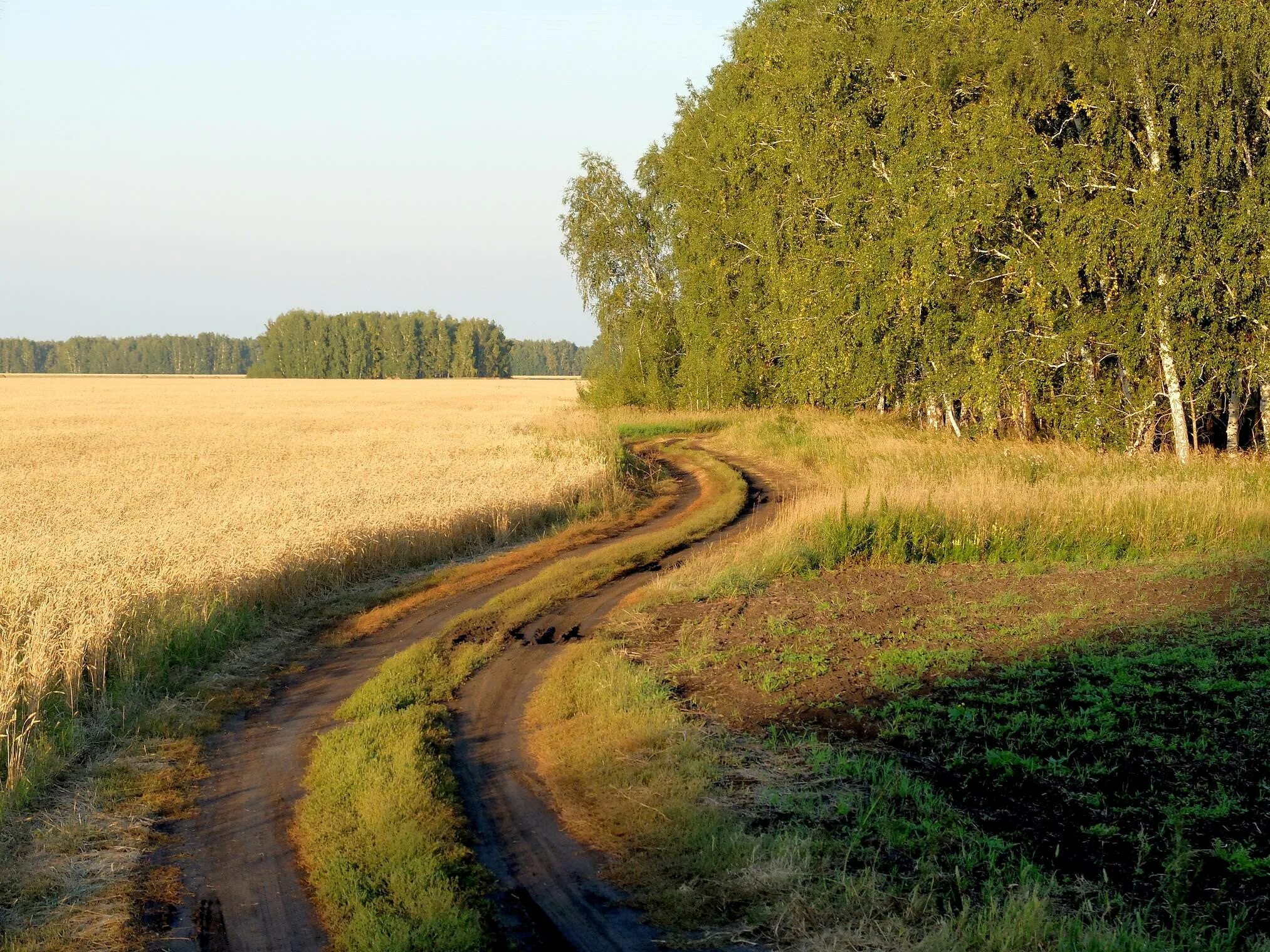 Дорога шла лес озера