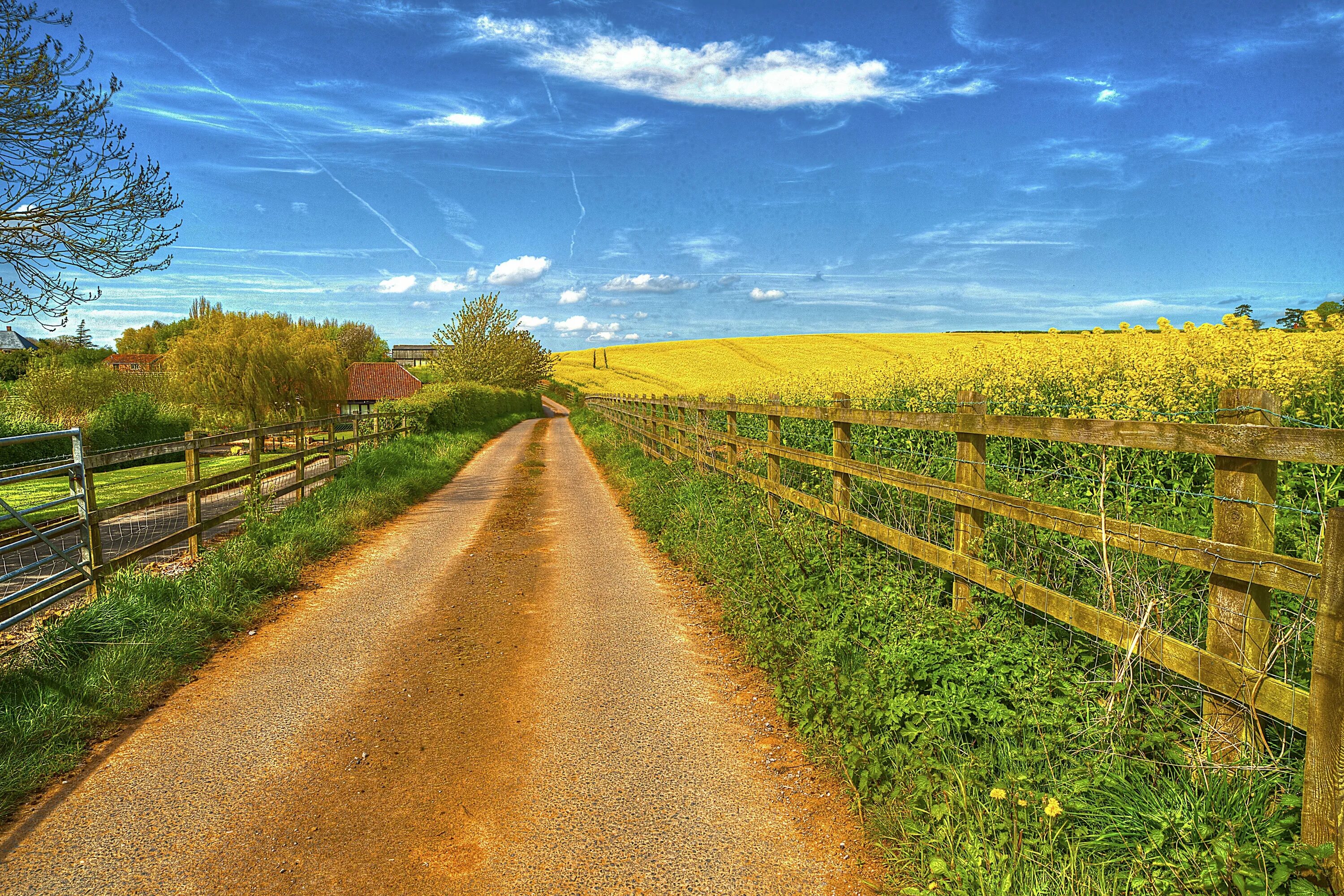 Красочное село. Природа деревня. Сельский пейзаж. Пейзаж с дорогой. Дорога в деревне.