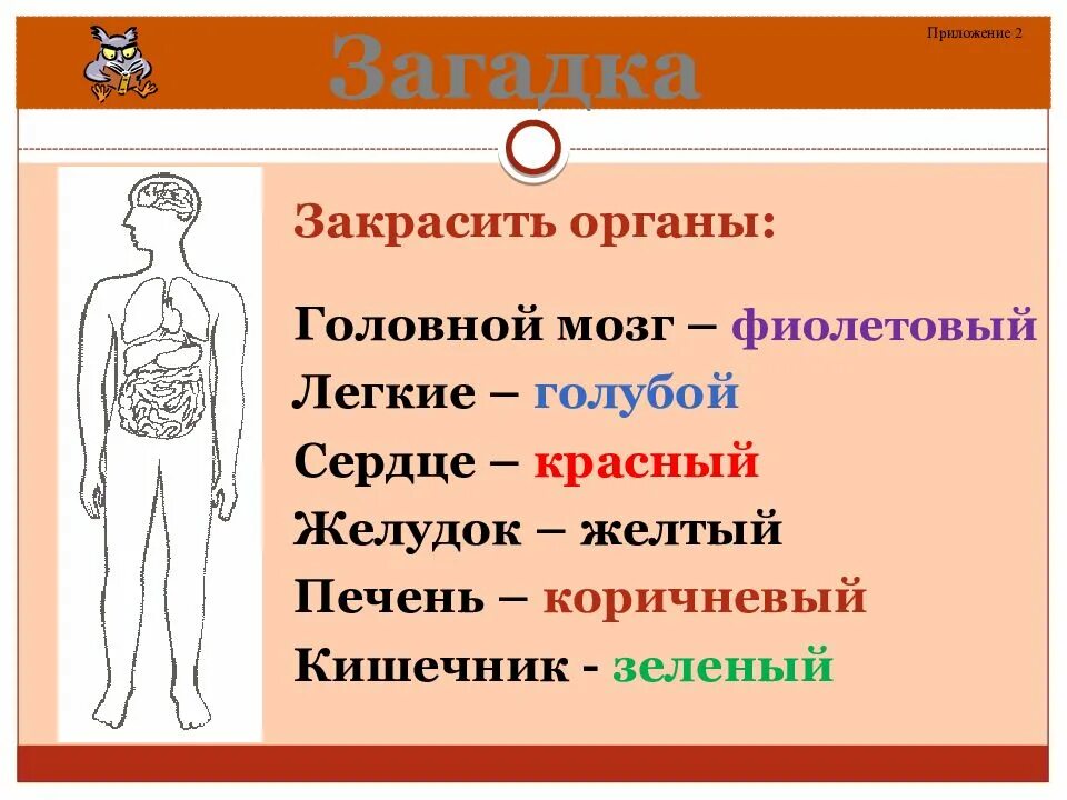 Тело человека органы 4 класс окружающий мир. Строение тела человека 2 класс. Строение тела человека задания. Строение тела человека заданяи. Задания на тему организм человека.