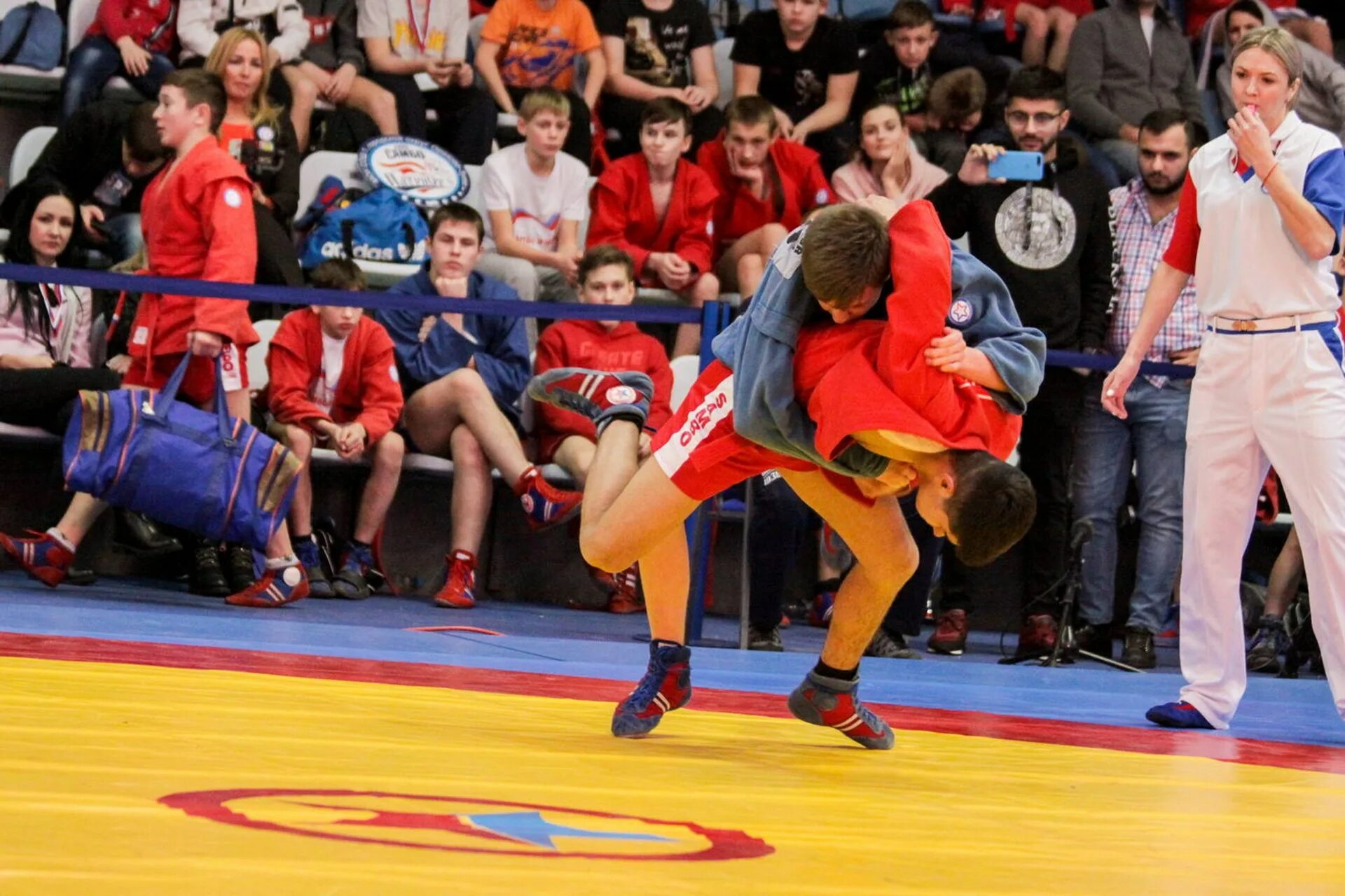 мс по боевому самбо. самбо отзывы. турнир по самбо. алиев алишер иркинович коломна. самбо дети.