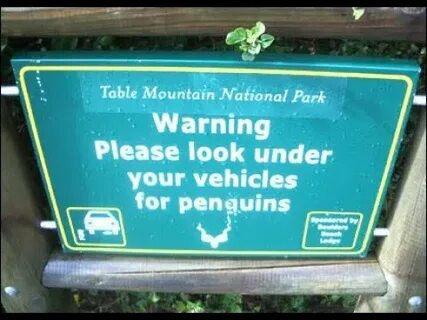 Warning please backup your data