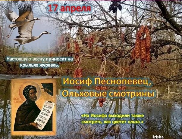17 апреля приметы дня. Иосиф песнопевец ольховые смотрины 17 апреля. иосиф песнопевец народный календарь. 17 апреля преподобного иосифа песнописца. иосиф песнопевец 17 апреля.