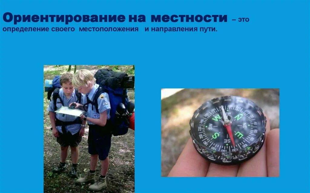 Способы ориентирования на местности 10 класс. Ориентирование это определение. ориентирование на местности картинки. как ориентироваться по городу. ориентирование по бабочкам.