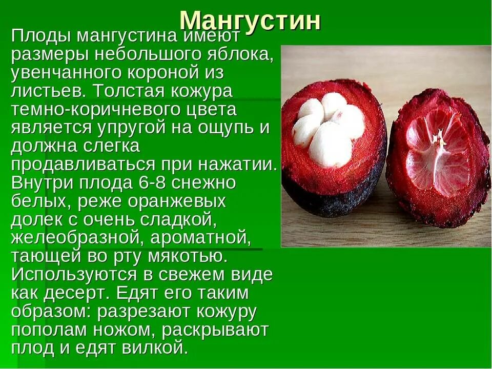 Мангустин польза. Мангустин. Плоды мангустина. Сообщение об экзотических плодах. Кожура мангустина.