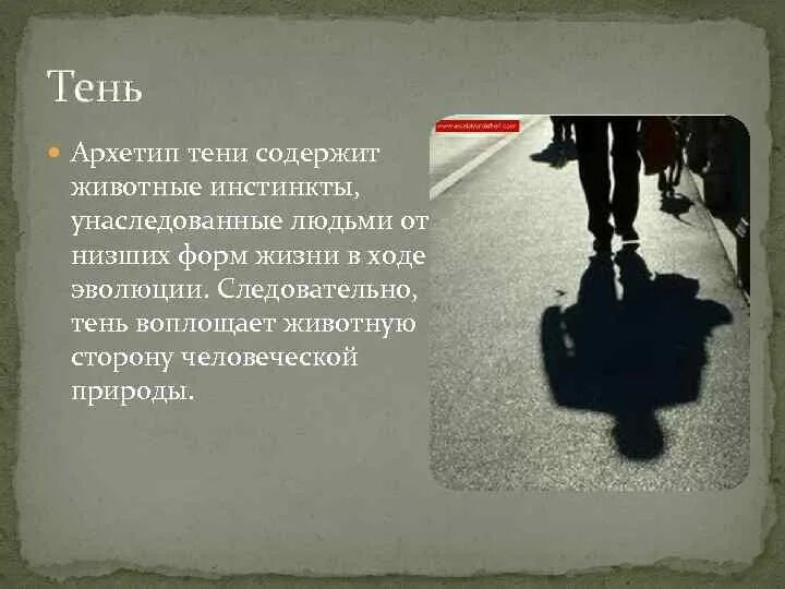 Саларианец анатомия. Человек низшая форма жизни. Человек низшая форма жизни. Современная цивилизация. Теневая сторона личности психология.