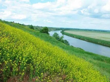 Задонск дон
