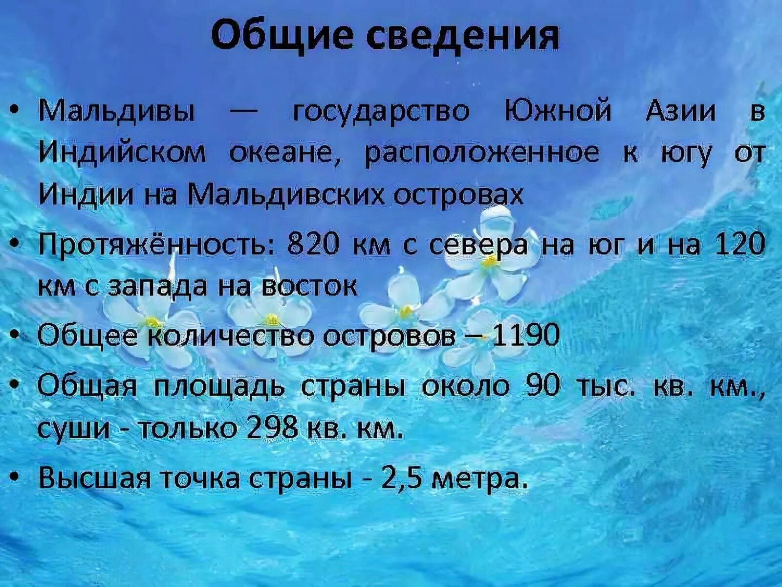 Мальдивы информация. Мальдивы описание. Сообщение о Мальдивах. Мальдивы проект по географии. Температура воды на мальдивах