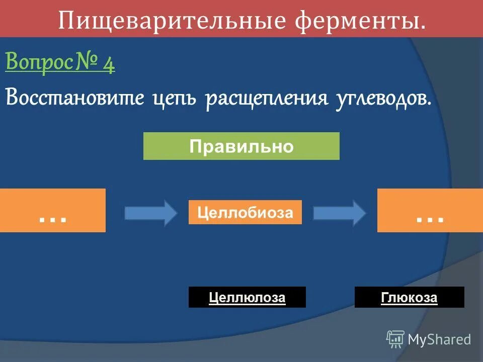 под действием какого фермента расщепляются углеводы. ферменты расщепляющие углеводы. фермент поджелудочного сока амилаза. расщепление углеводов ферменты. ферменты расщепляющие жиры.