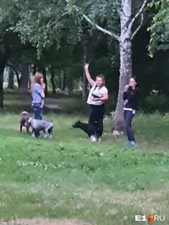 Нападает внезапно