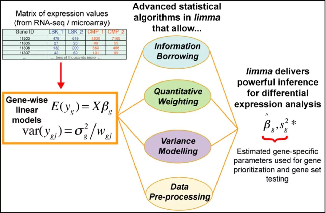 Differential analysis. Микроэррей анализ. analysis of algorithms. expression analysis.
