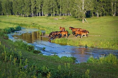Водопое река