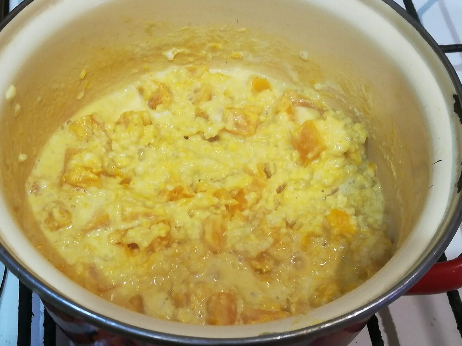 пшено в духовке. пшённая каша с подливкой. пшённая каша в горшочке в духовке. пшено в духовке. пшённая каша на молоке в духовке.