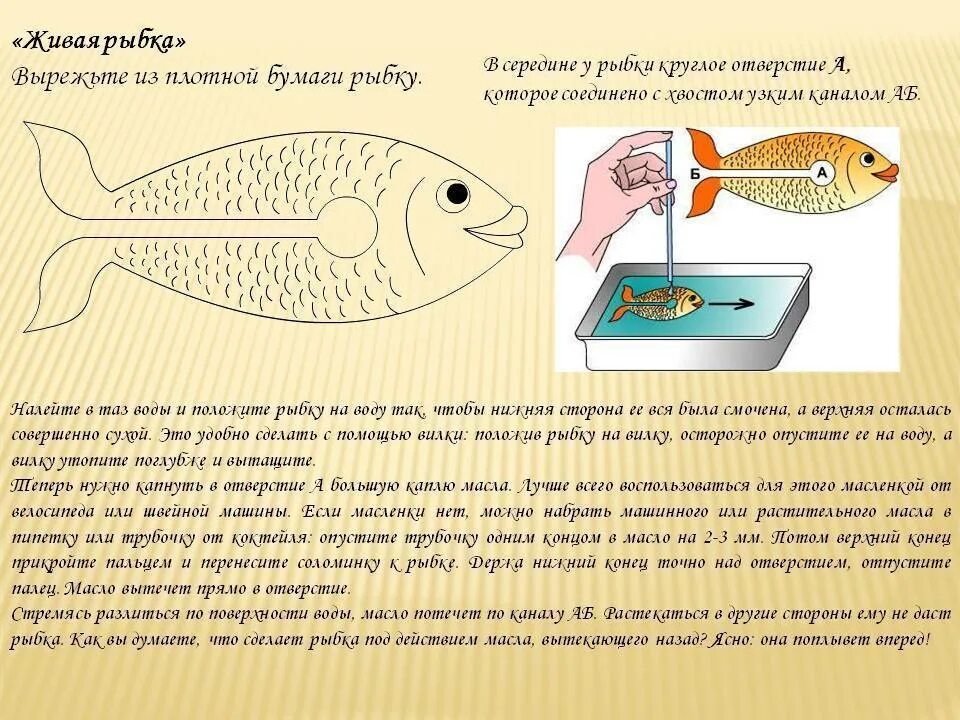 Почему рыбы живут в воде. Опыты с рыбами. Эксперименты рыбы для детей. Опыт реактивная рыбка. Плавающая рыбка опыт.