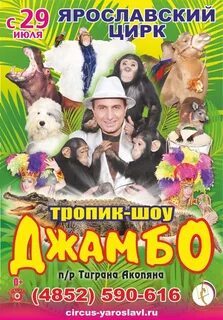 Цирк ярославль афиша