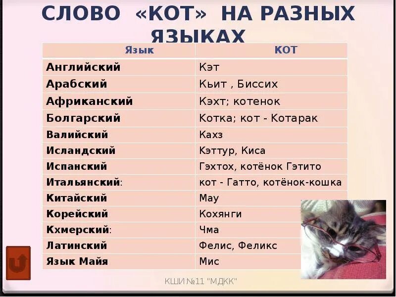 Какое имя дать котенку. Имена для котов. имена для кошек. как назвать котенка. имя для кошечки.