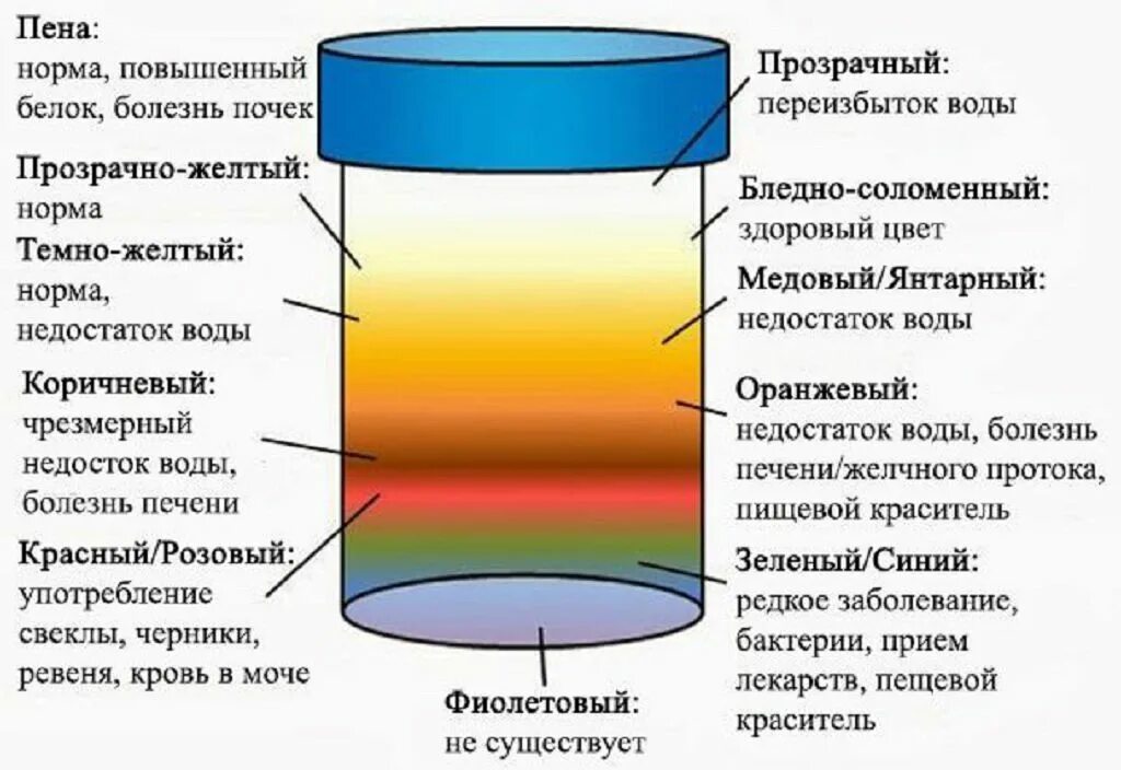 Почему моча красноватого. Моча насыщенного цвета. Темно желтая моча причины. Изменение цвета мочи. Насыщенный желтый цвет мочи.