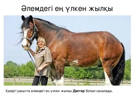 Әлемдегі ең үлкен пенисалардың фотосуреттері