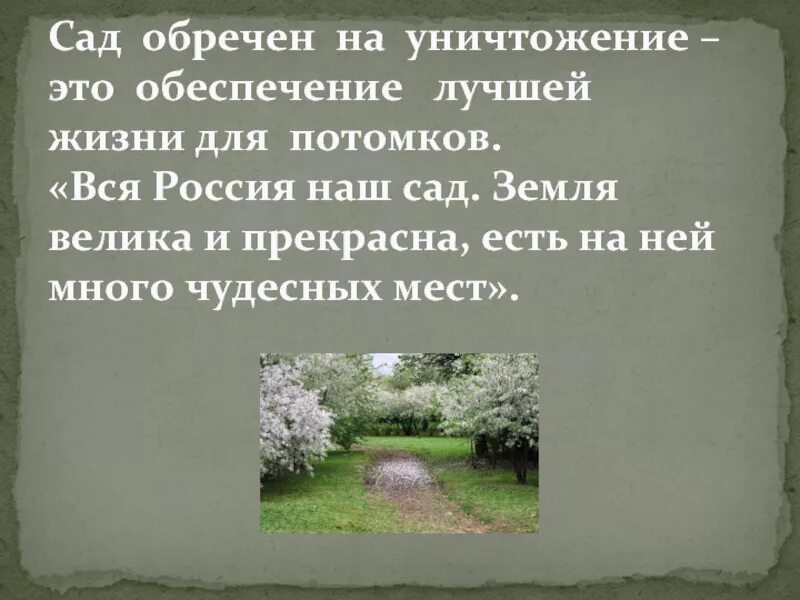 Вишневый сад действующие лица. Лопахин вишневый сад высоцкий. Вишневый сад чехов 1904 вишневый сад. Вишня саржента сахалинская. База отдыха вишневый сад.
