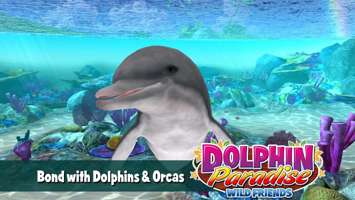 Игра про дельфинчика. Игра дельфинчик. Dolphin игра флеш. Игра dolphin. Гонки на дельфинах.