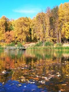 Лесное озеро саранск