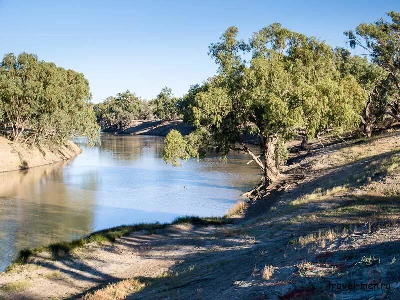 притоки австралии. река дарлинu австралии. притоки австралии. река муррей. приток реки муррей.