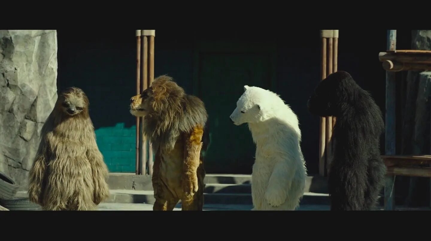 Носорог рядом с человеком в зоопарке. Секретный зоопарк secret zoo, 2020. Тайны зоопарка. Мультановская тайны зоопарка. Мультановская тайны зоопарка.