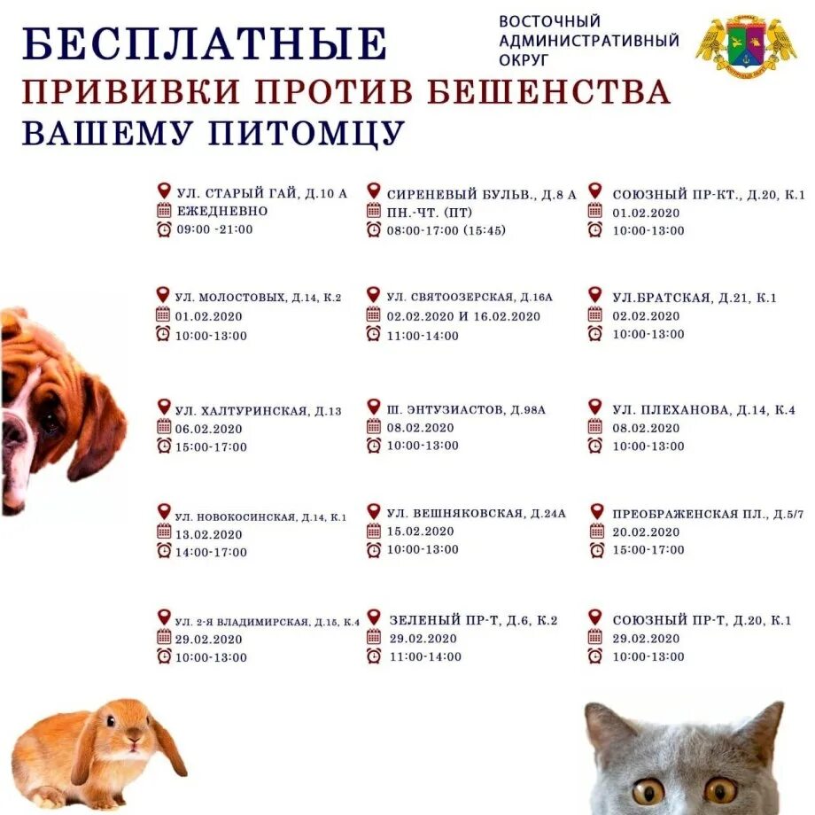 Через сколько можно мыть собаку после прививки. Прививки коту график прививок. какие прививки делают котам в 1 год. график прививок для котят. прививки щенку 2 мес.
