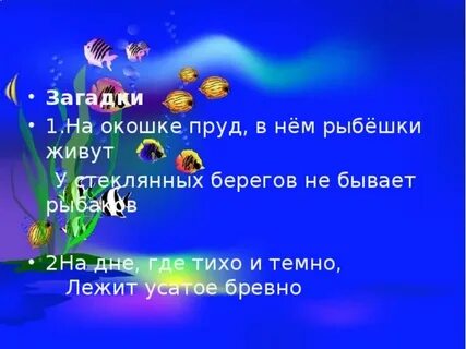 Загадка аквариум