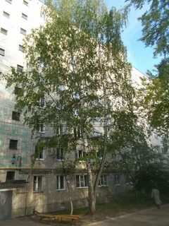 Зеленодольск ул гоголя
