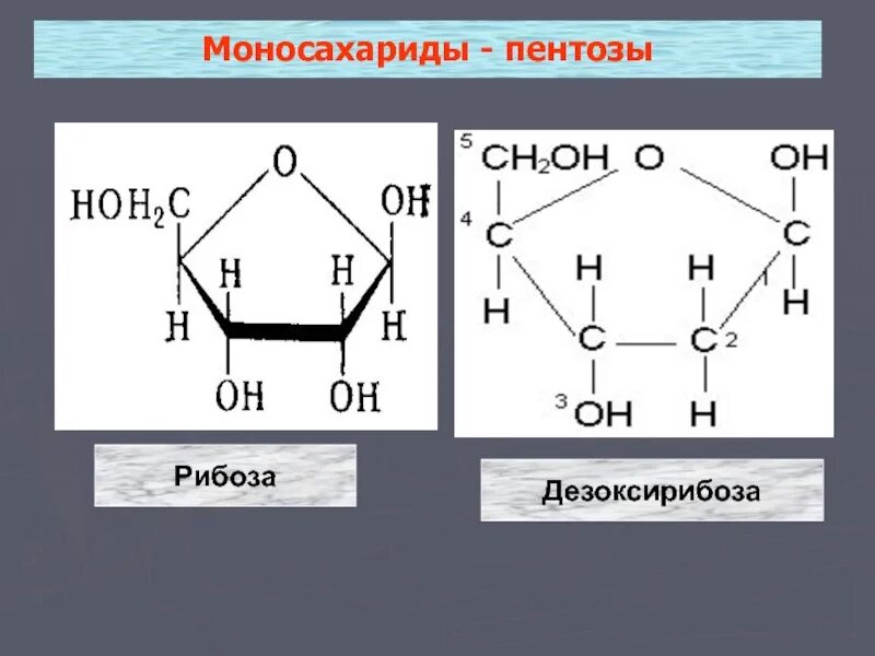 Д рибоза циклическая формула. Бета д рибоза. Дезоксирибоза открытая и циклическая форма. Дезоксирибоза линейная формула.