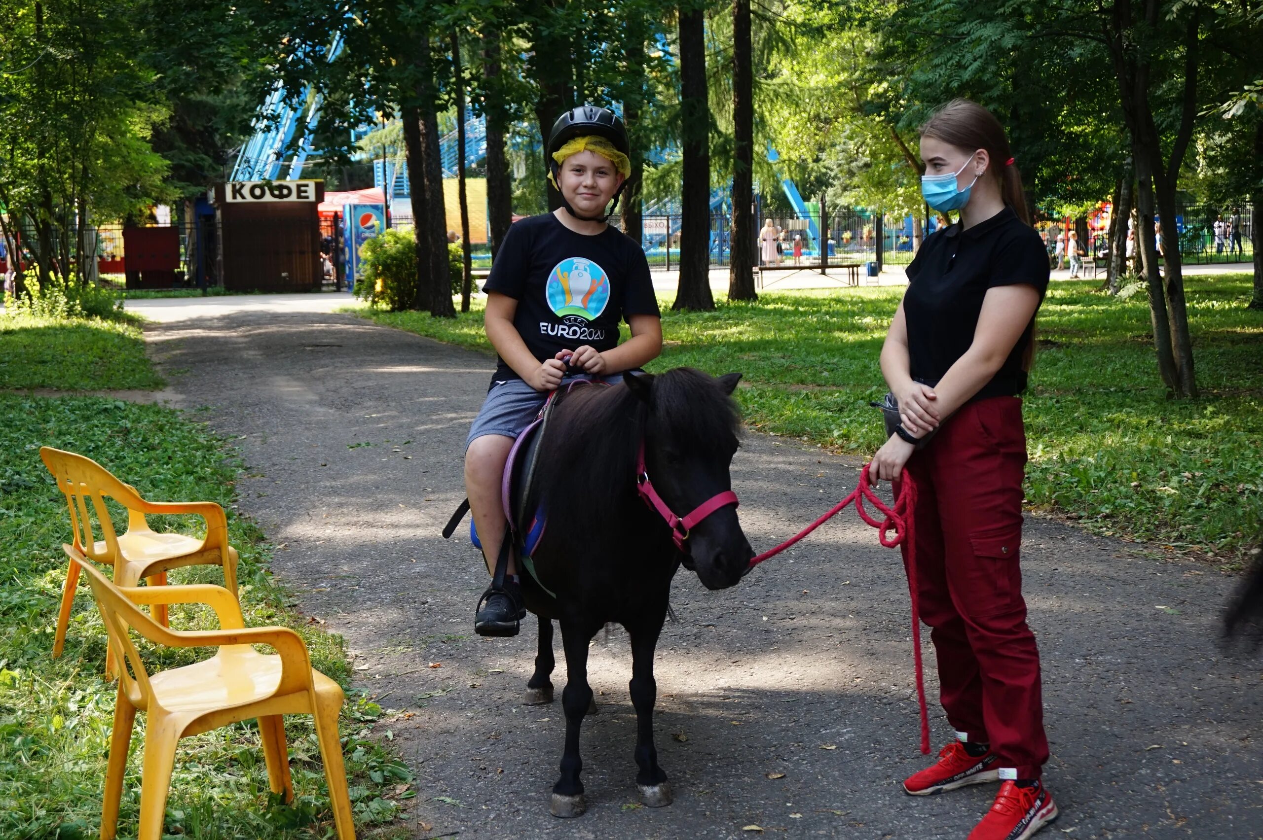 Лошадка в парке. Конные прогулки Йошкар-Ола. Йошкар-Ола парк. Лошади в парках.