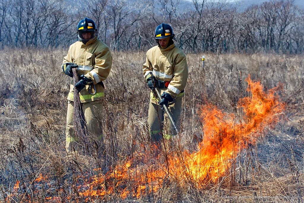 Пожар травы. Пожар в поле. Пожары в алтайском крае. Особо противопожарный режим. Special fires.