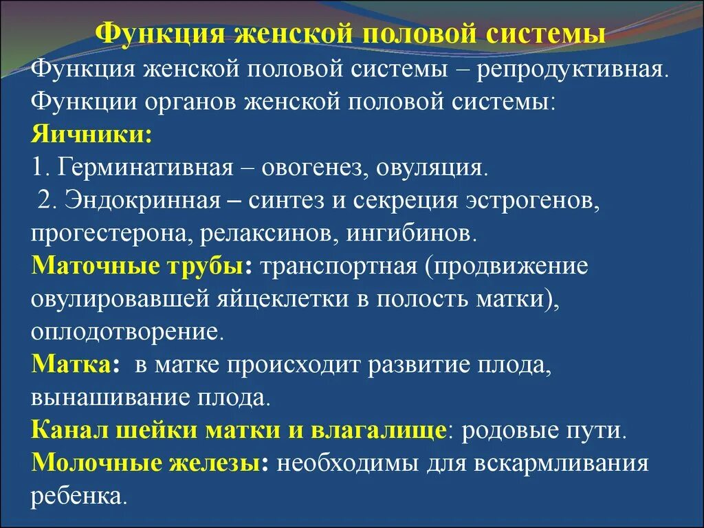 Функции органов женской половой системы