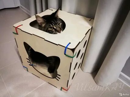 Как сделать кошка коробка
