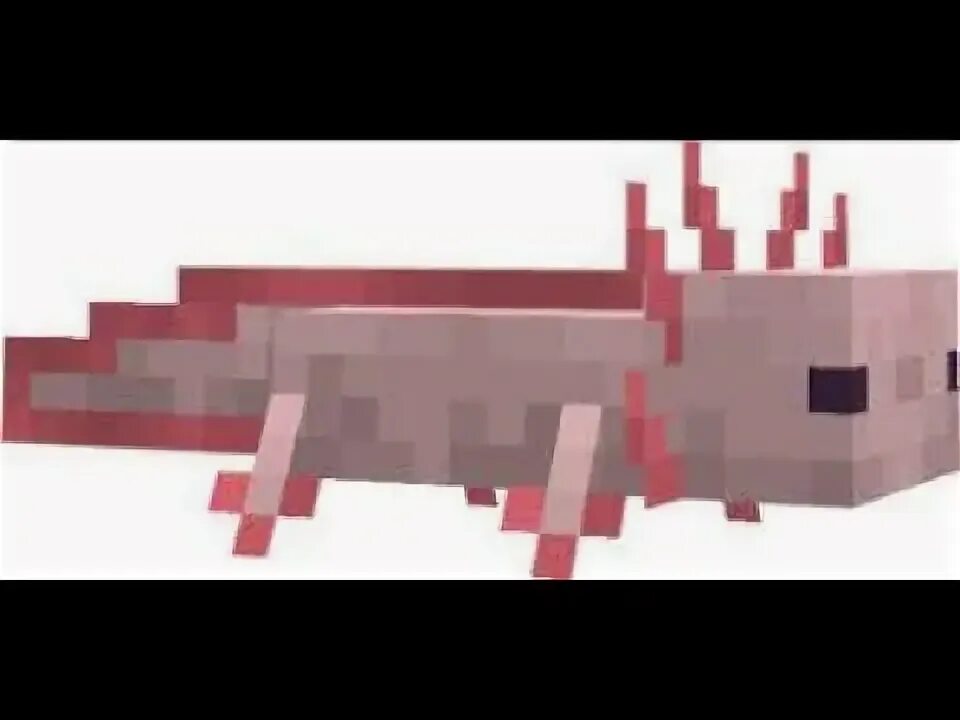 Как выглядит самый редкий аксолотль в майнкрафте В ПОИСКАХ АКСОЛОТЛЯ ► Minecraft #26 выживание YouTube
