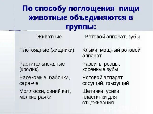 Виды поглощаемое пищи. Приспособления для питания животных таблица 6 класс. Способы питания животных таблица. Приспособления для питания животных таблица. Способы поглощения пищи животными.