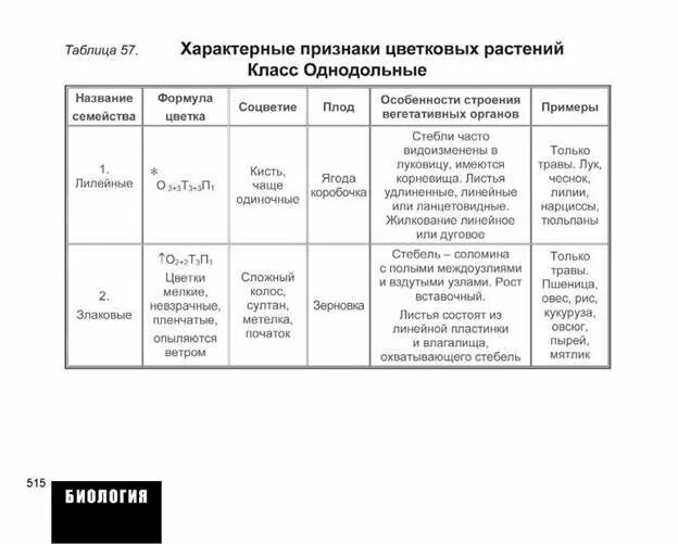 Однодольные растения таблица 7 класс. Характерные признаки семейств цветковых растений. таблица характерные признаки семейств цветковых растений. таблица признаки семейств цветковых растений 7 класс. признаки семейств однодольных растений таблица.