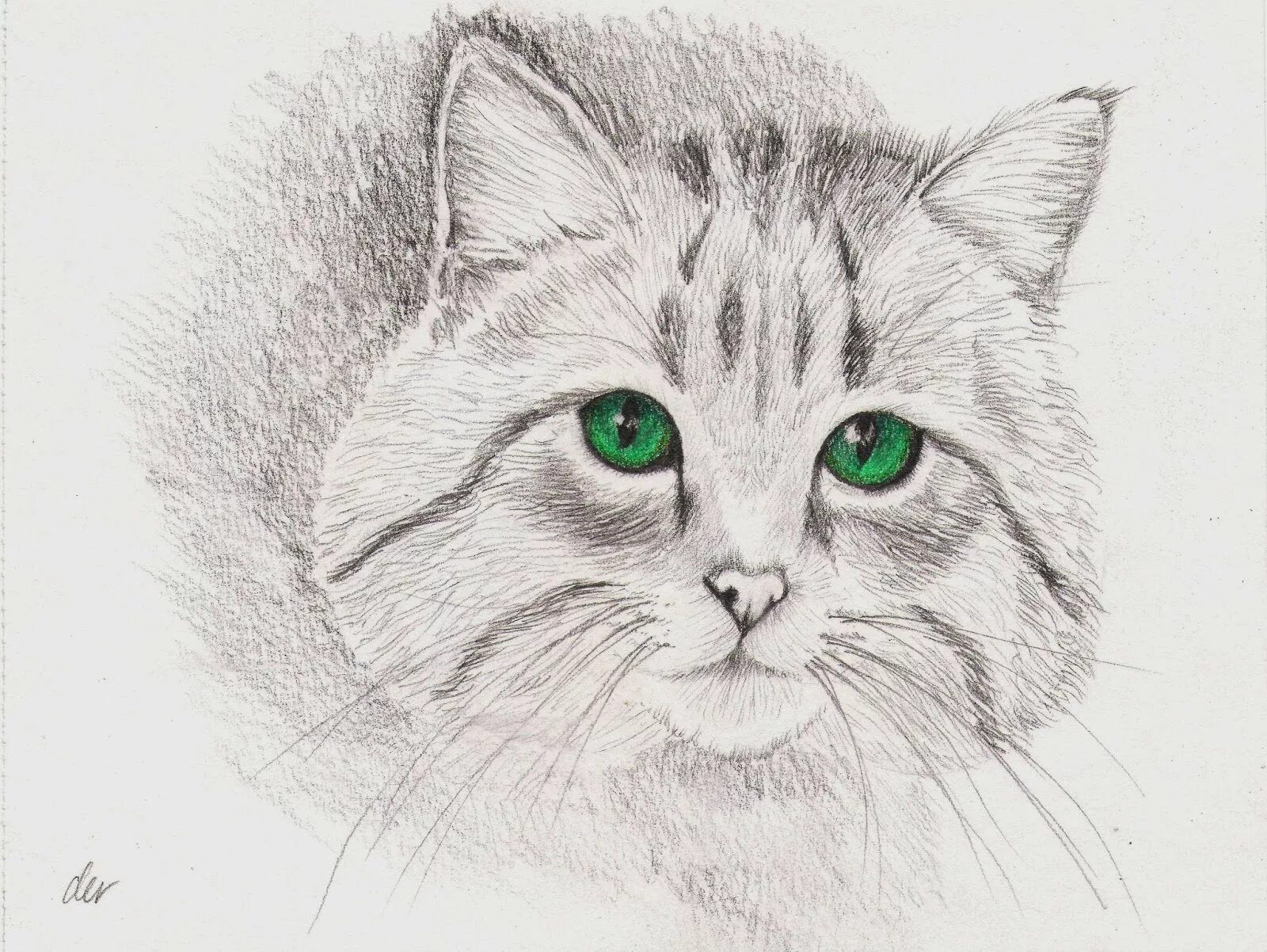 Котенок рисунок. Рисунок котёнка карандашом для срисовки. Рисование карандашом. Котёнок рисунок карандашом. Как нарисовать котика карандашом.