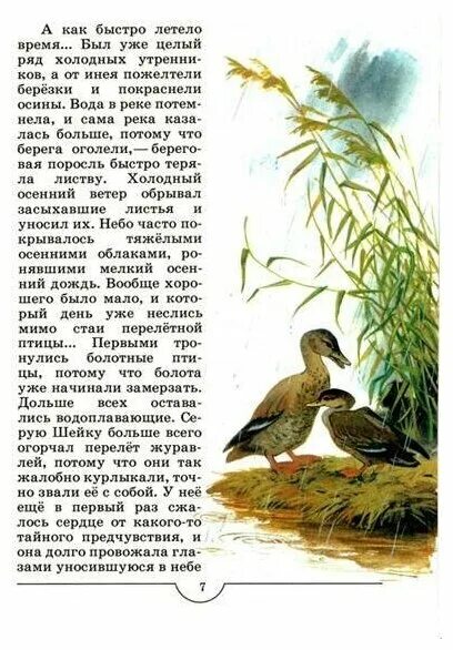 Быстро летело время наступила осень от инея пожелтели березки. Когда желтеют листья на деревьях. Прощание с осенью. Народная эстетика. Начали желтеть листья на березе.