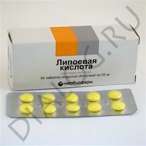 Липоевая кислота утром или вечером