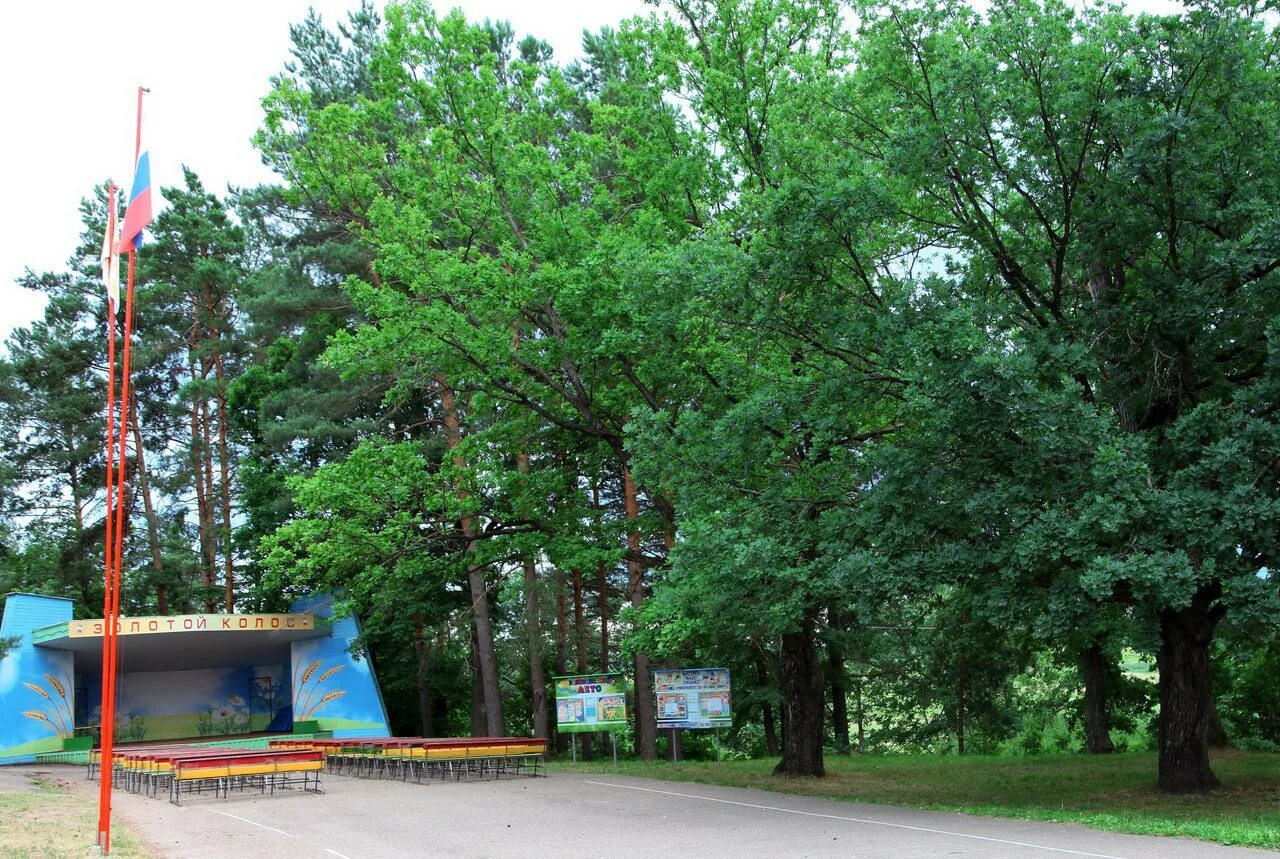 Золотой колос арзамас. Золотой колос нижегородская область. Золотой колос нижегородская область. Лагерь золотой колос нижегородская область. Лагерь золотой колос нижегородская область.