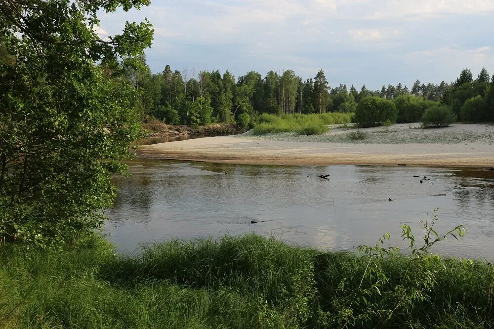 Борский керженец. Борский керженец