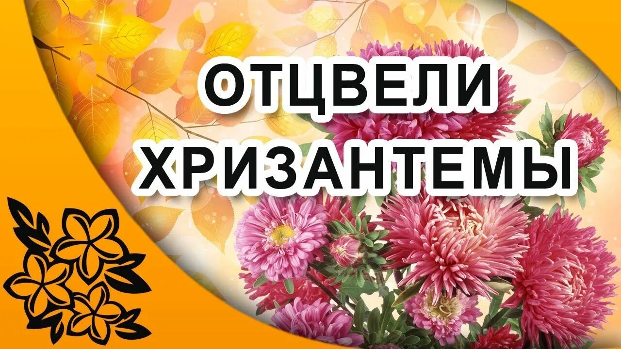 Отцвело слушать. Отцвели хризантемы романс. Отцвели хризантемы романс. Отцвели уж давно. Отцвело слушать.