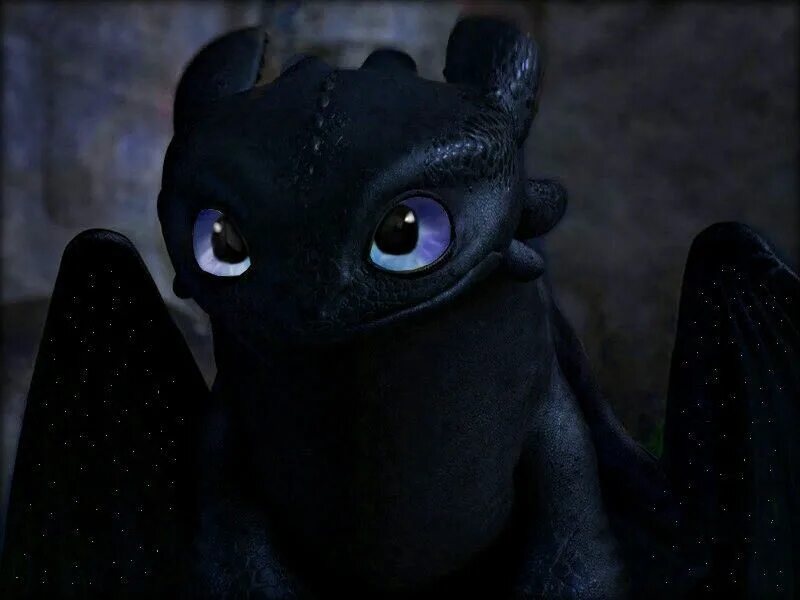 Night fury dragon, Night fury, How train your dragon