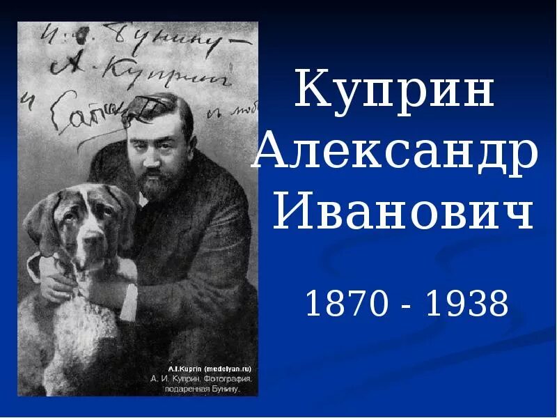 Куприн рассказы о животных. Куприн александр иванович сапсан. куприн с собакой. собачье счастье александр куприн книга. куприн завирайка.