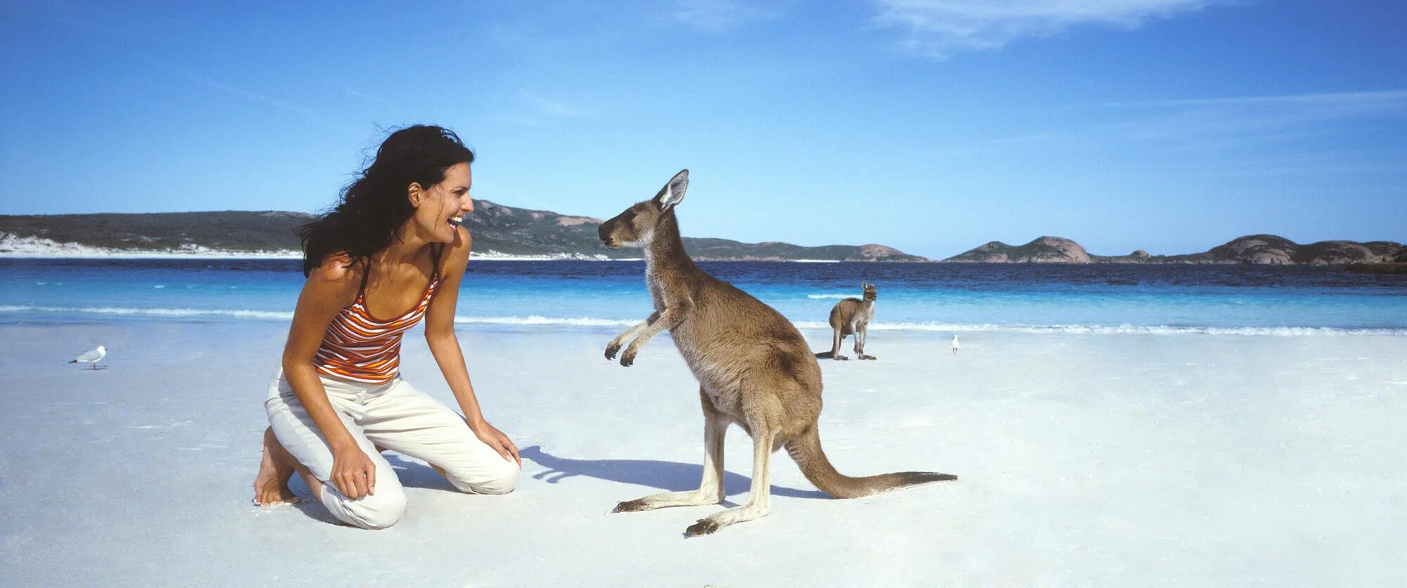 В австралии живет около. Остров кенгуру в Австралии. Остров кенгуру (Kangaroo Island). В Австралии с кенгуру туристы. Австралия люди.