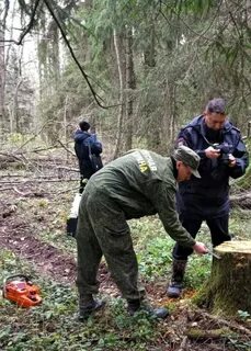 Нашли лесничего