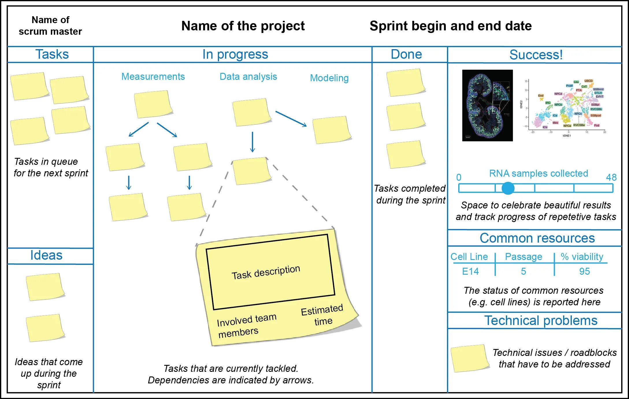 Скрам пример. Scrum методология. фреймворк scrum. скрам методология. схема scrum процесса.