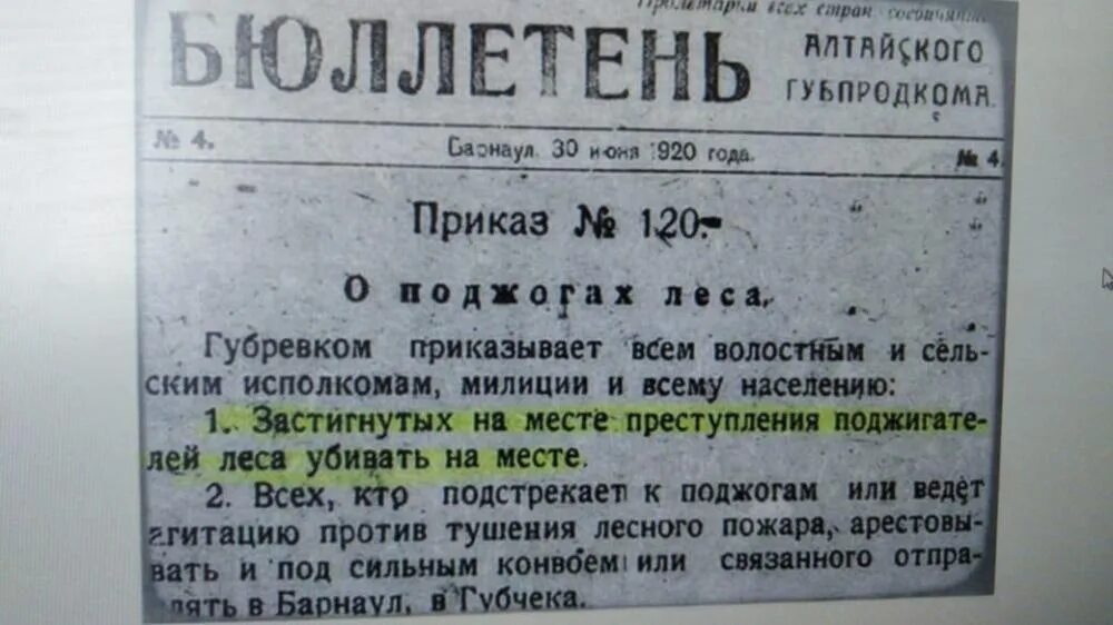 Приказ тайцев. Поджигателей расстреливать на месте. Бюллетень о расстреле поджигателей леса. Поджигателей леса - расстрел на месте.